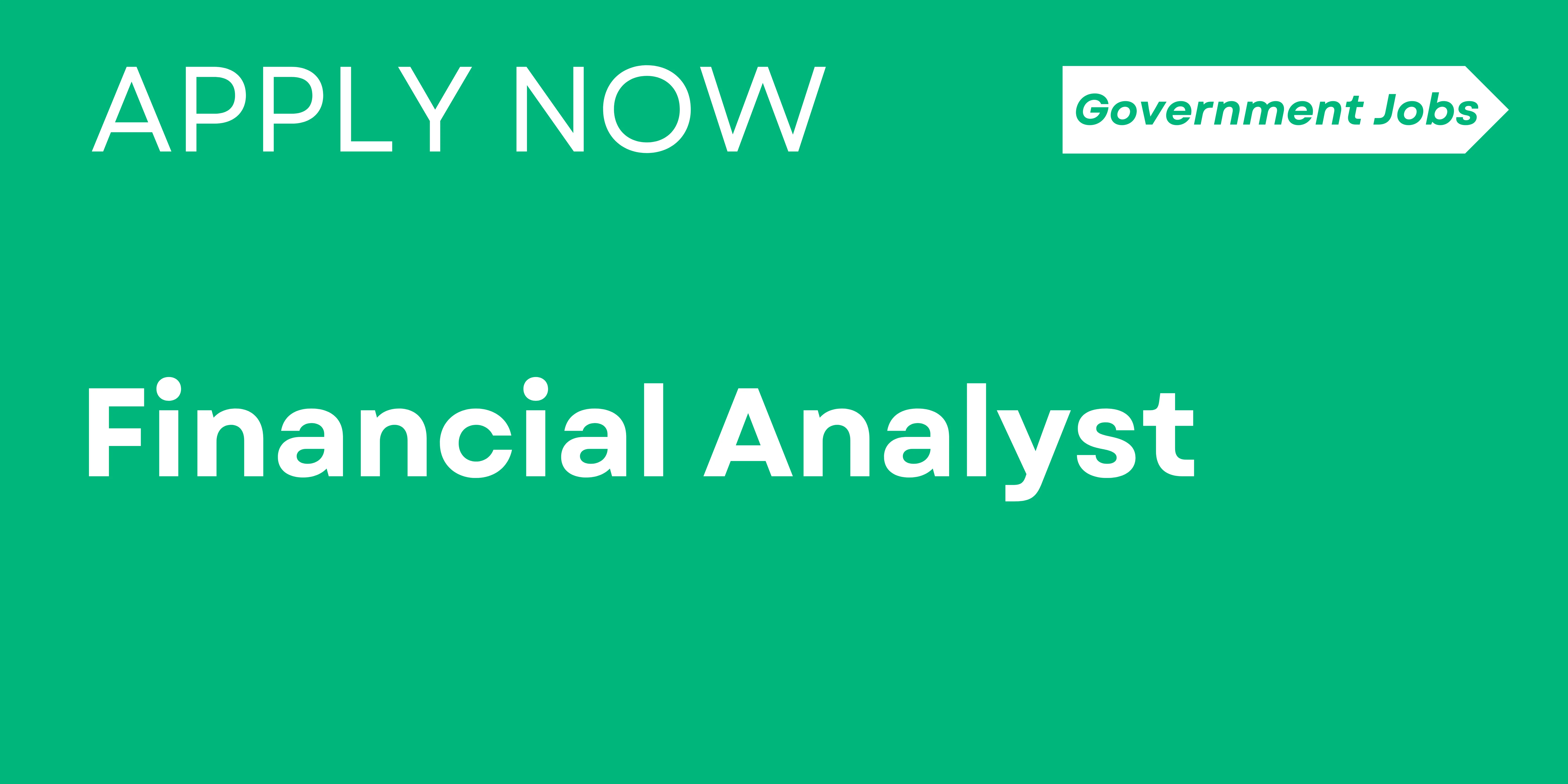 Financial Analyst