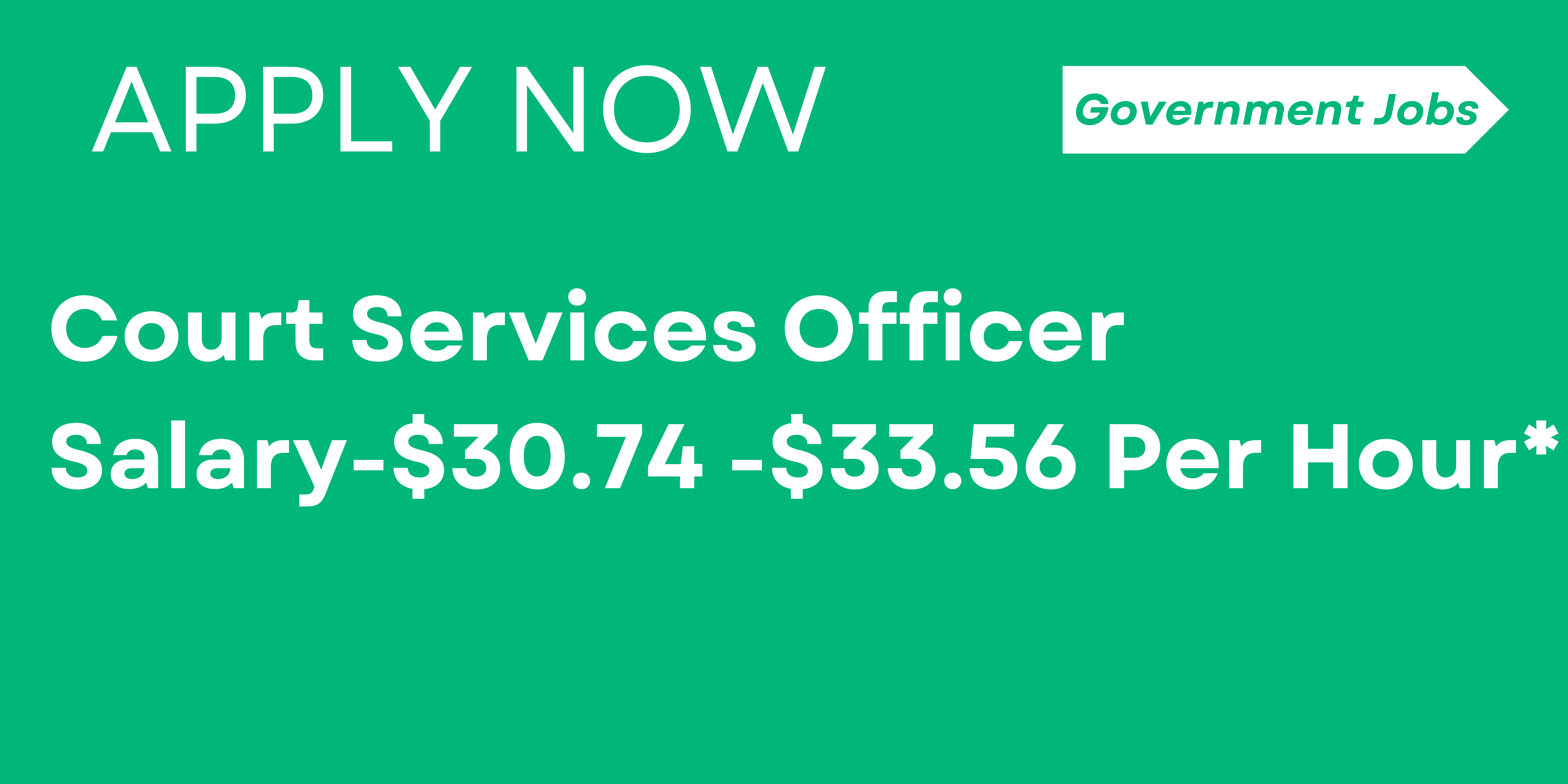 Court Services Officer
