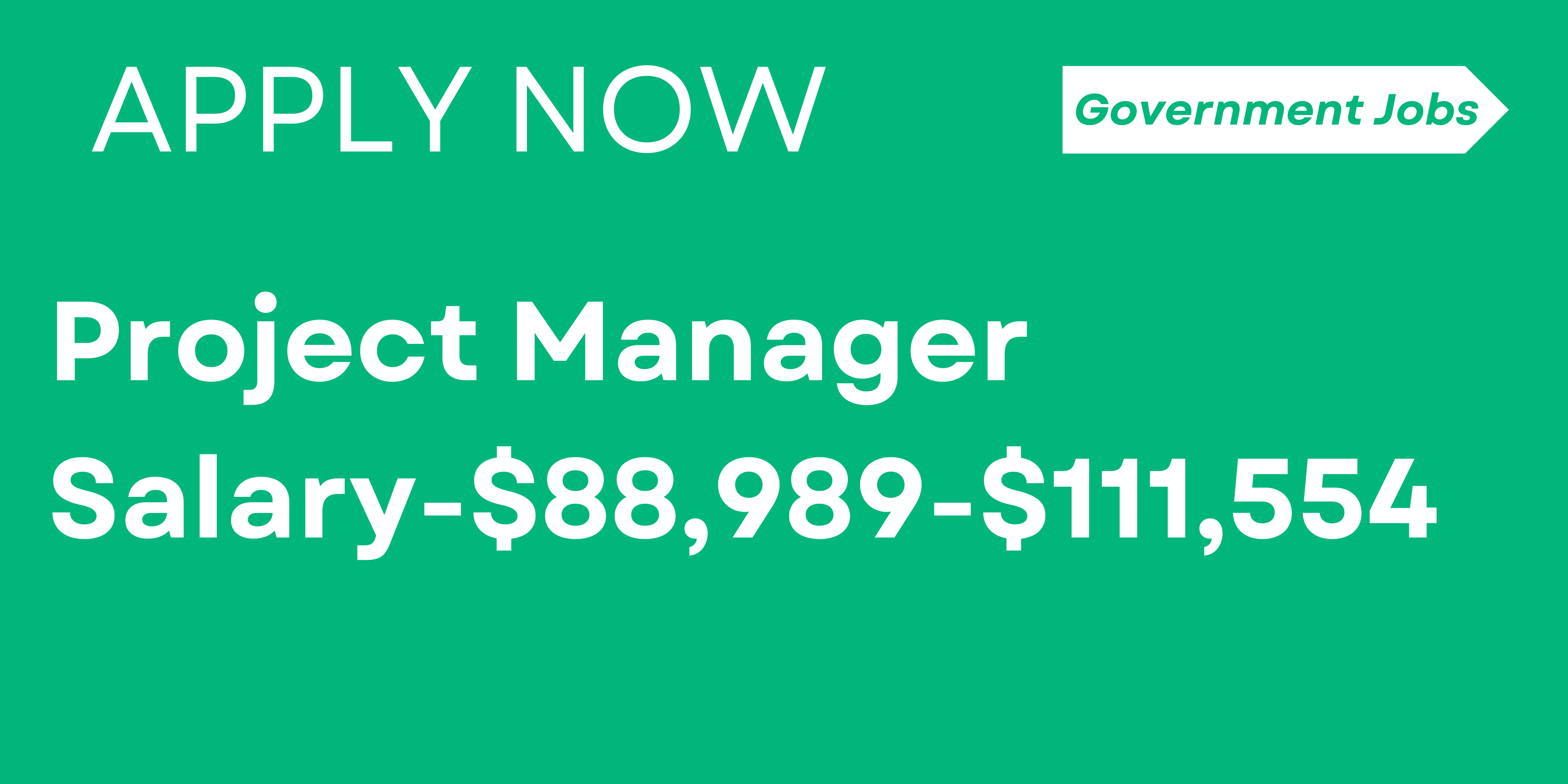 Project Manager