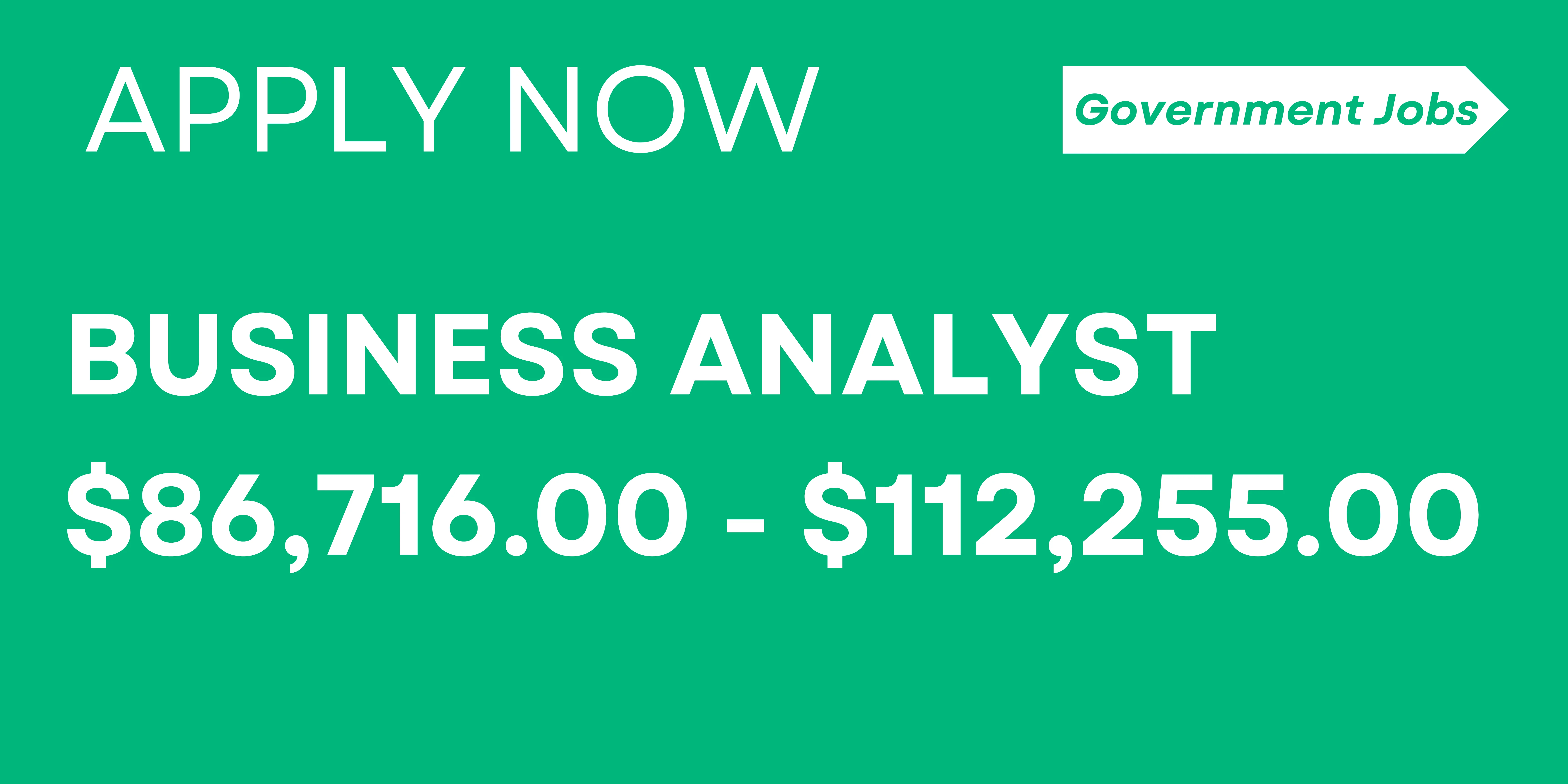 BUSINESS ANALYST