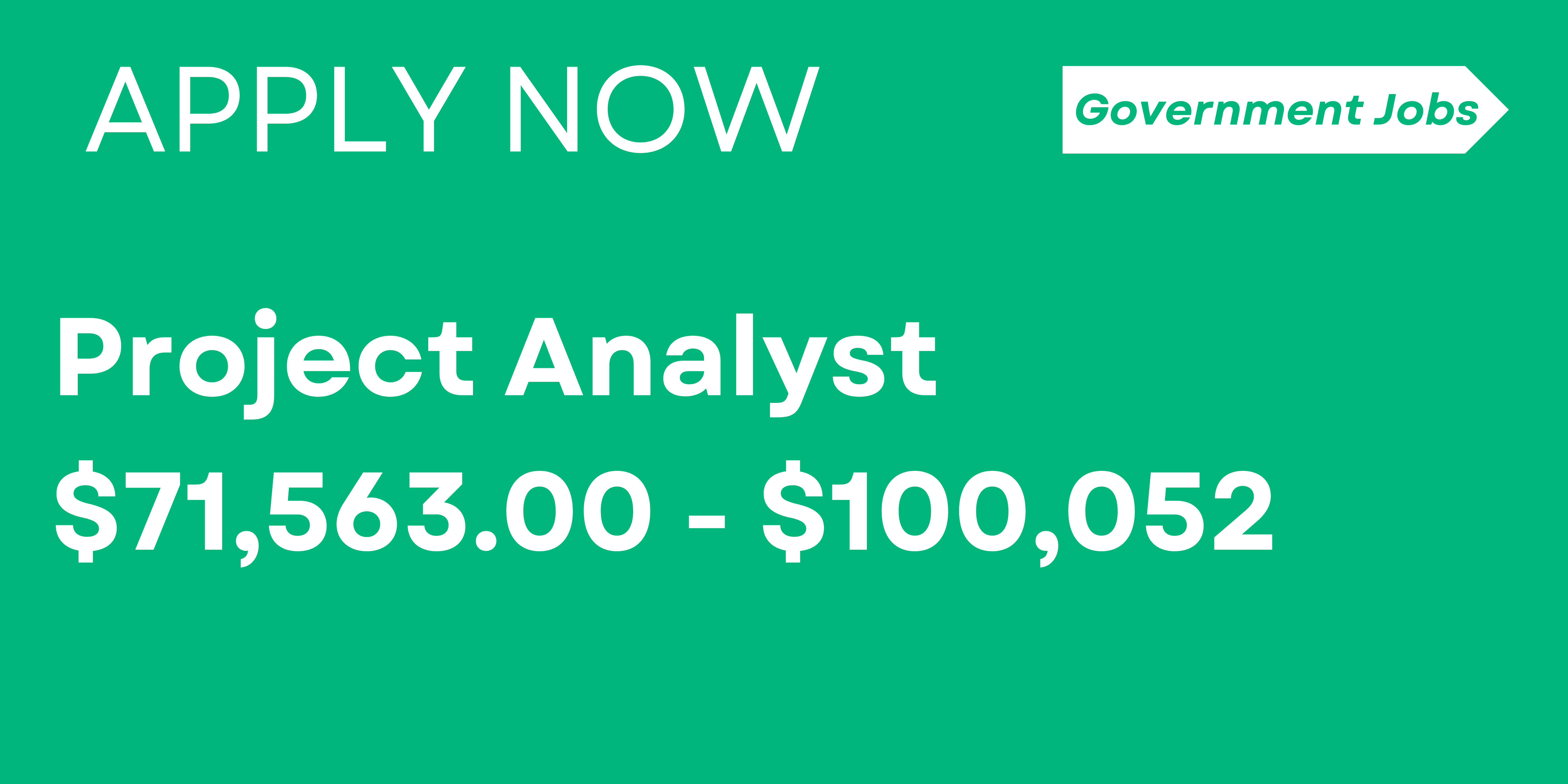 Project Analyst