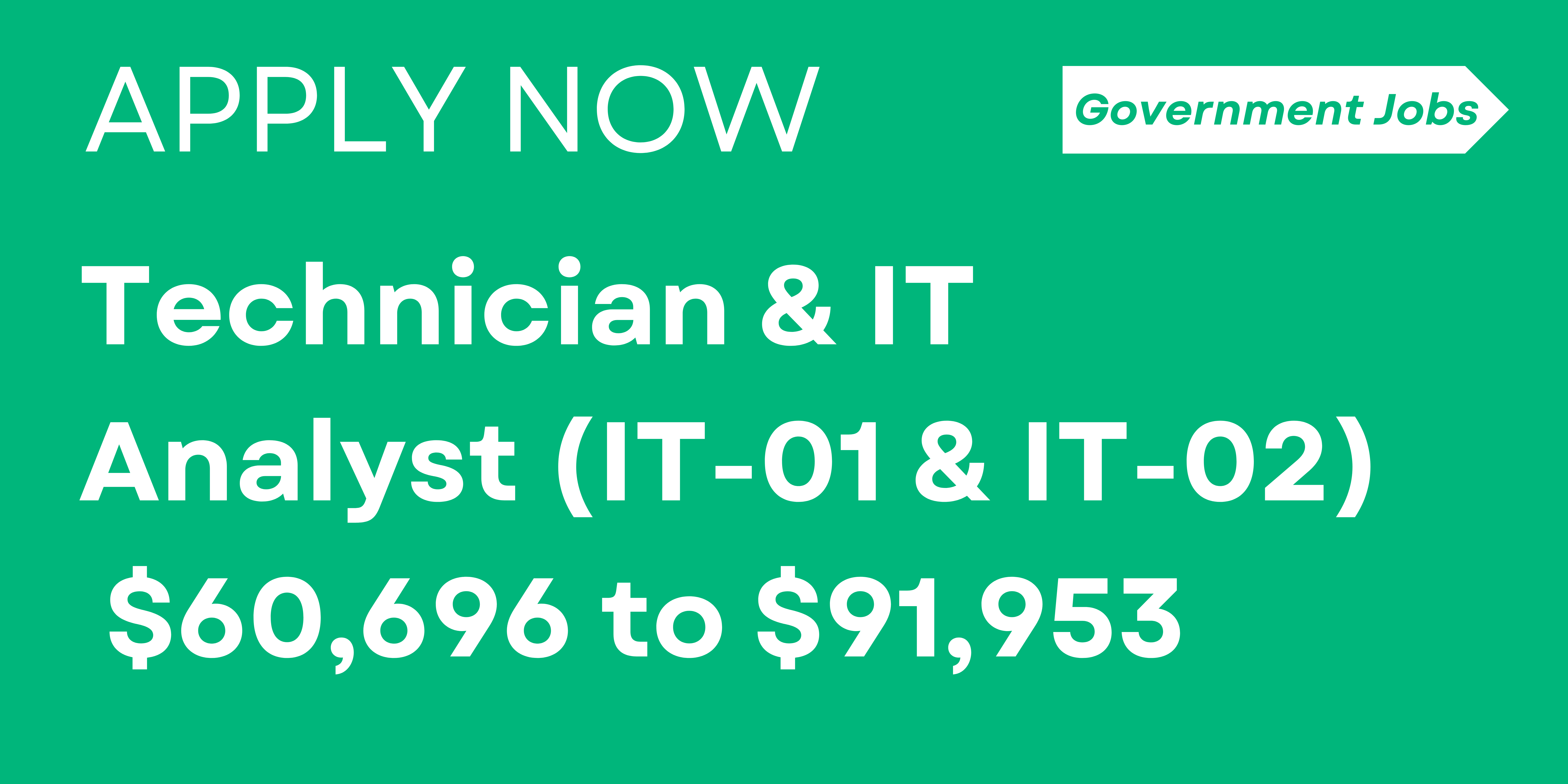 Technician & IT Analyst