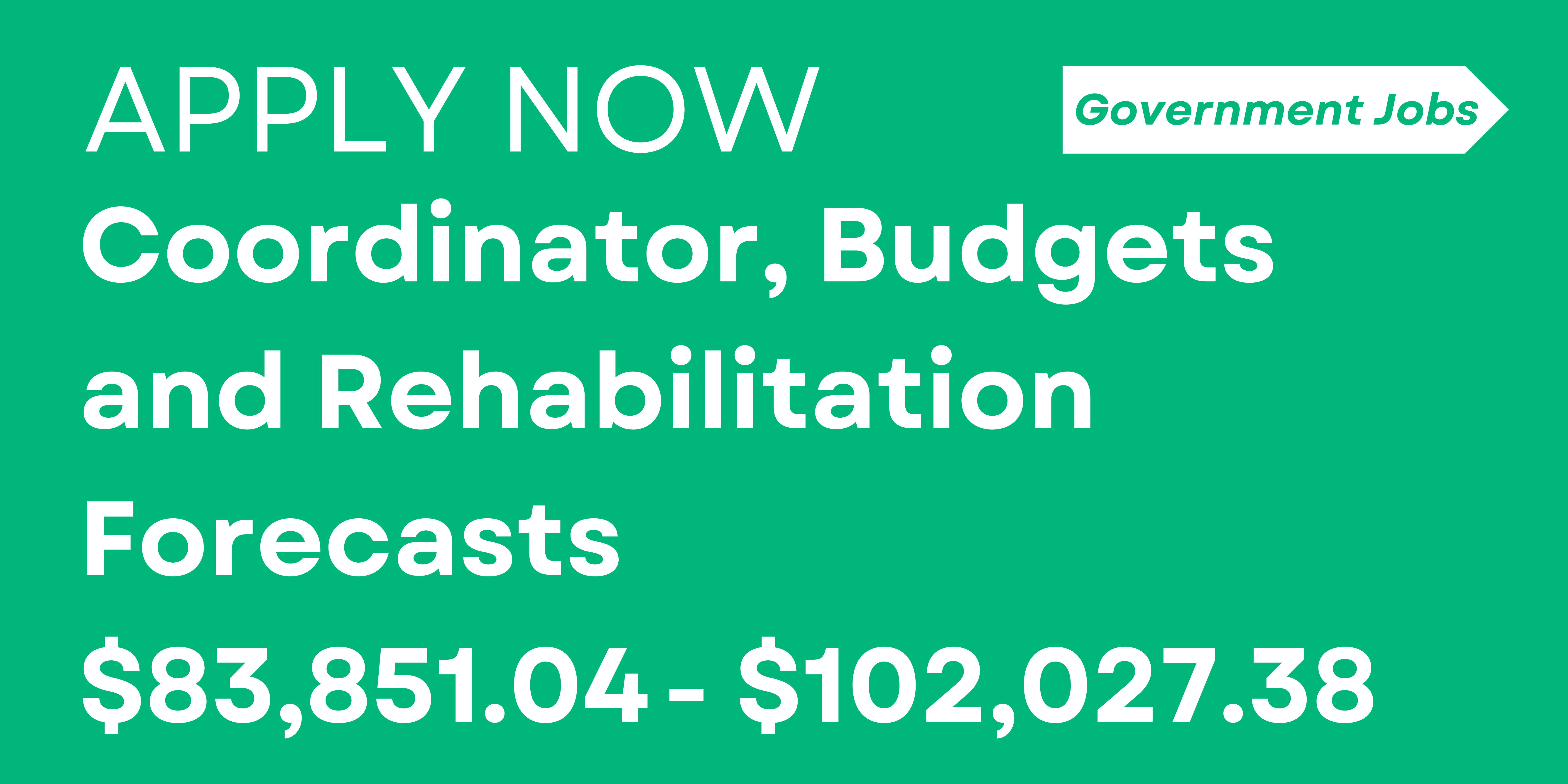 Coordinator, Budgets and Rehabilitation Forecasts