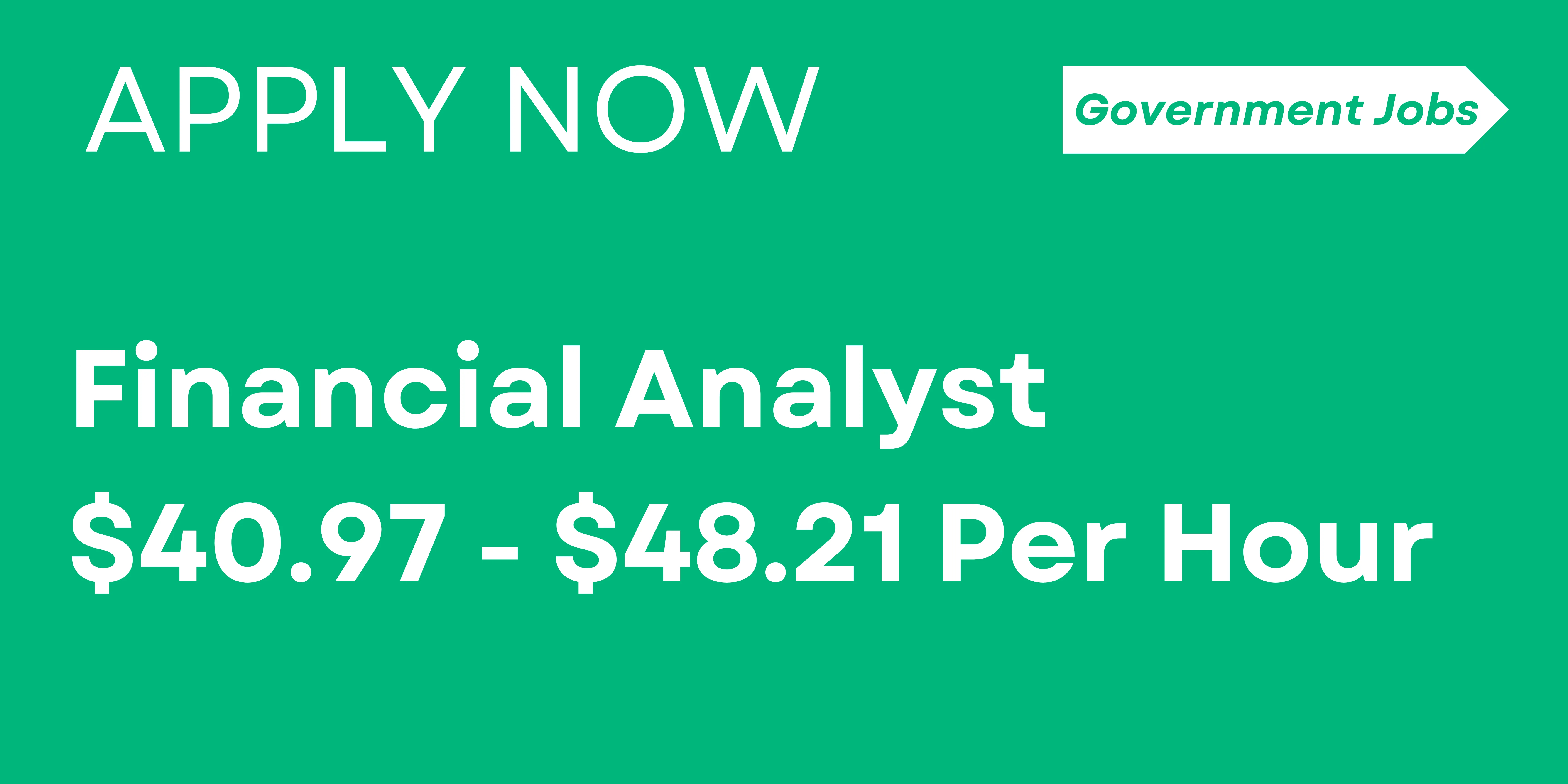 Financial Analyst